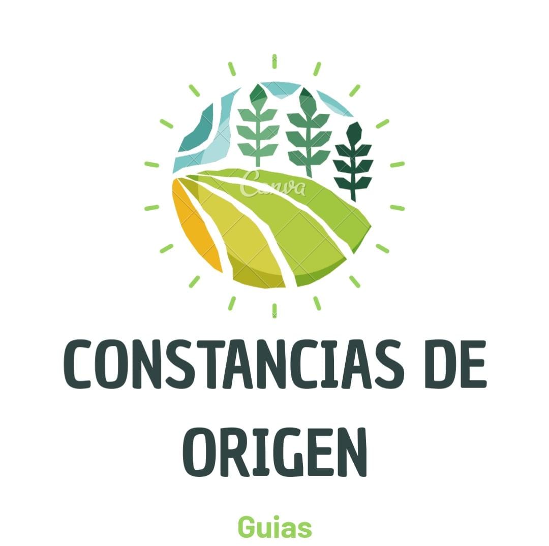 CONSTANCIAS DE ORIGEN